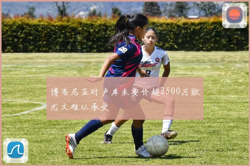 博洛尼亚对卢库米要价超2500万欧尤文难以承受